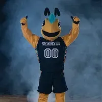 Yellow jacket mascot excitedly raising arms on basketball court.